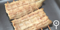 素焼き（特大）